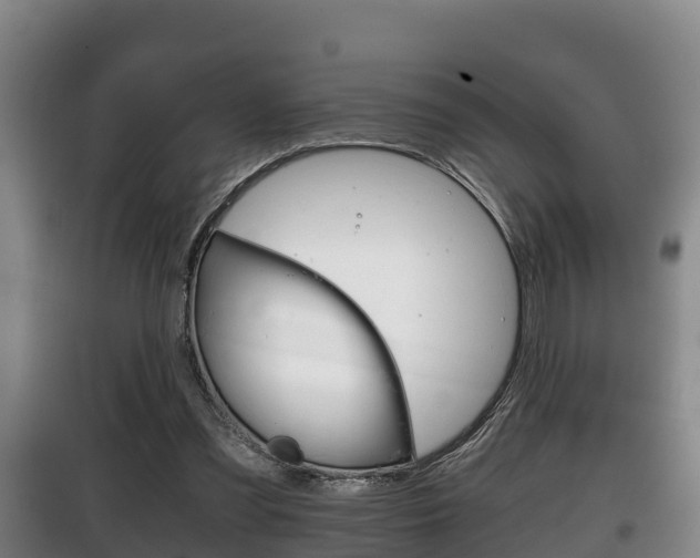 X0000100420301200806060954