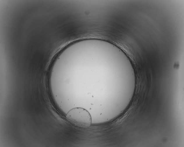 X0000100420302200806060954