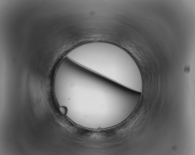 X0000100420303200806060954