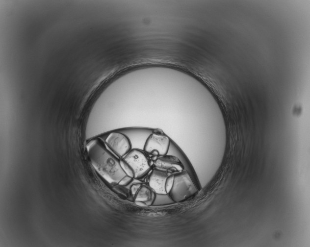 X0000100420304200806060954