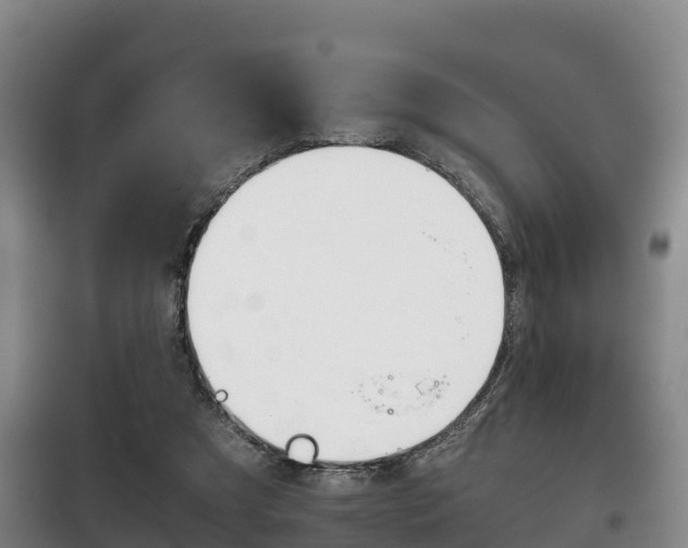X0000100420305200806060954