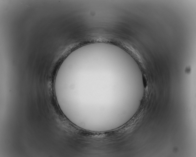 X0000100420306200806060954