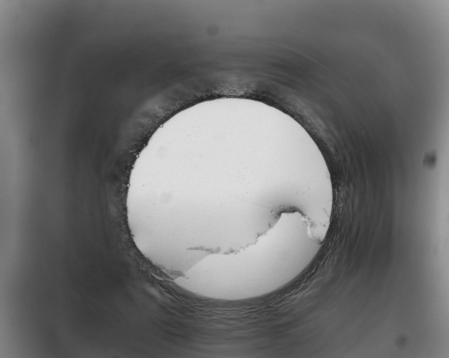 X0000100420307200806060954