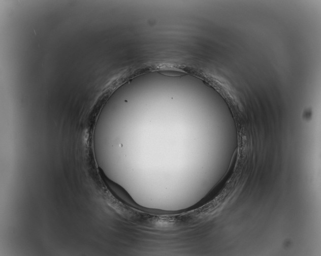 X0000100420308200806060954
