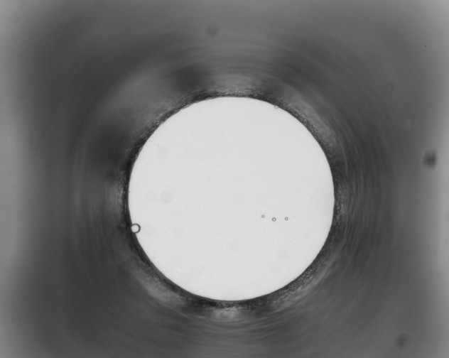 X0000100420309200806060954
