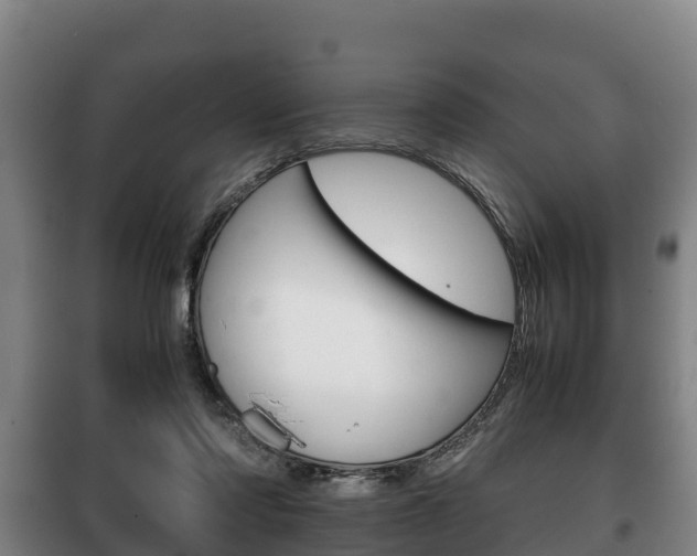 X0000100420310200806060954