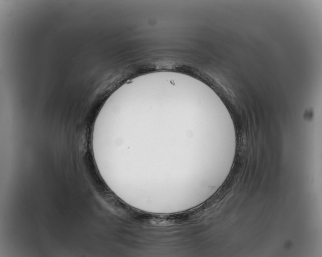 X0000100420311200806060954