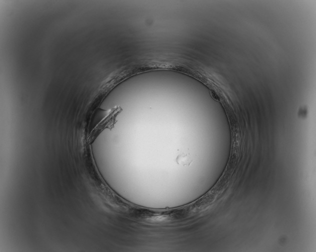 X0000100420312200806060954