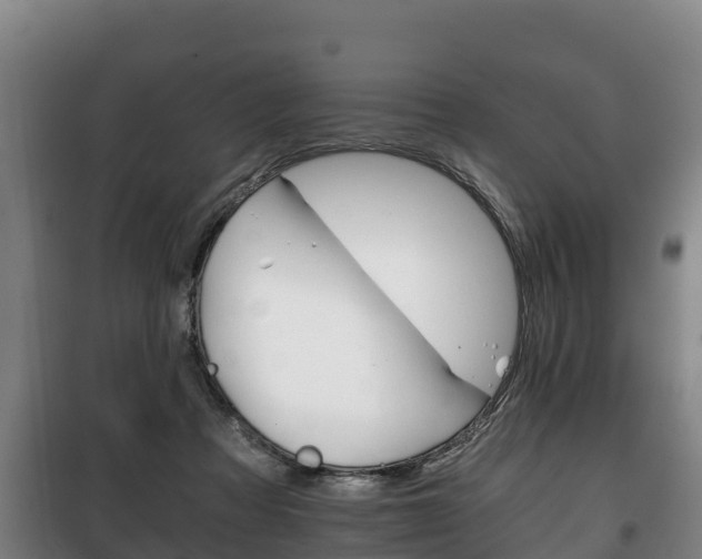 X0000100420313200806060954