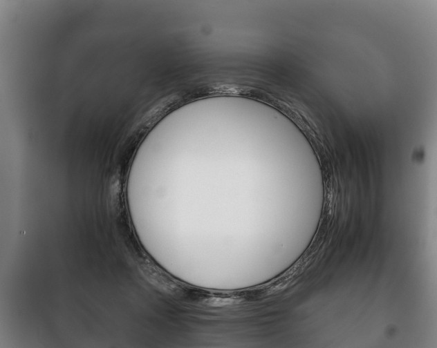 X0000100420314200806060954