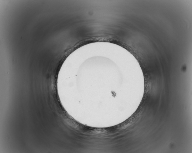 X0000100420317200806060954
