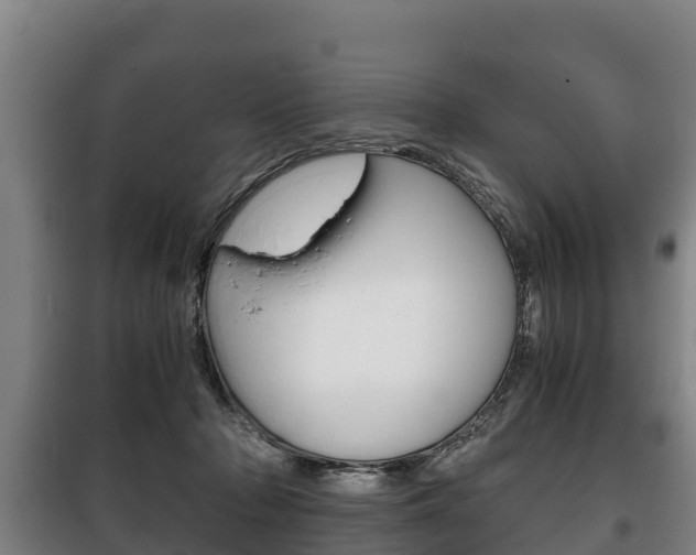 X0000100420318200806060954