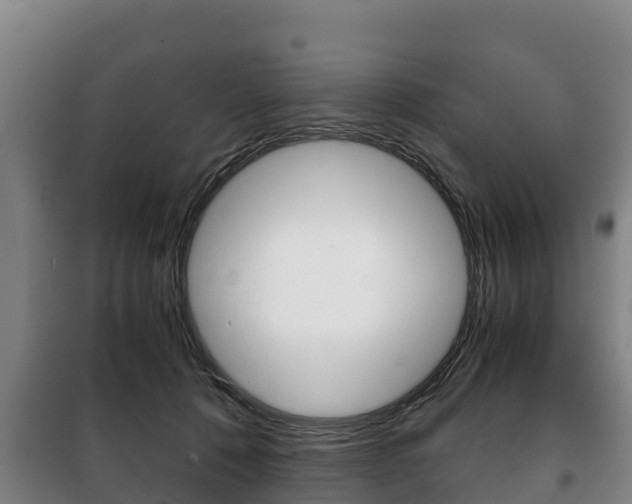 X0000100420320200806060954