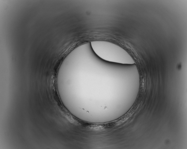 X0000100420322200806060954