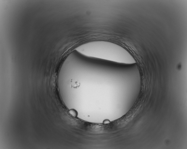 X0000100420325200806060954