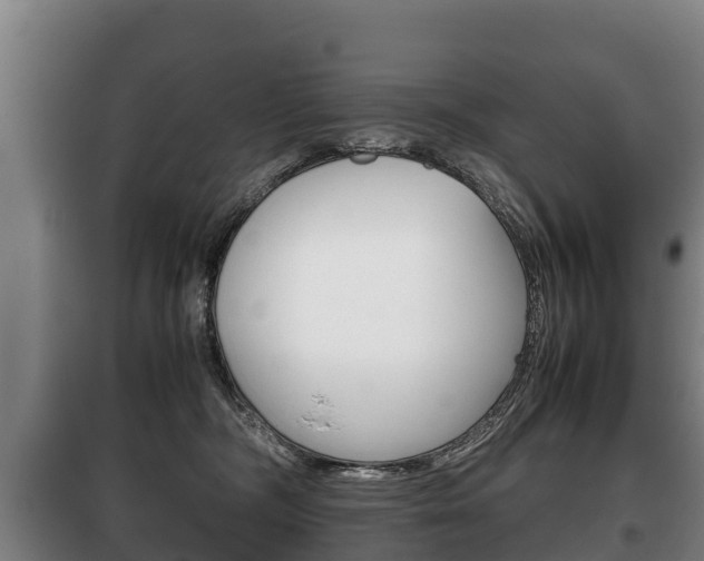 X0000100420326200806060954