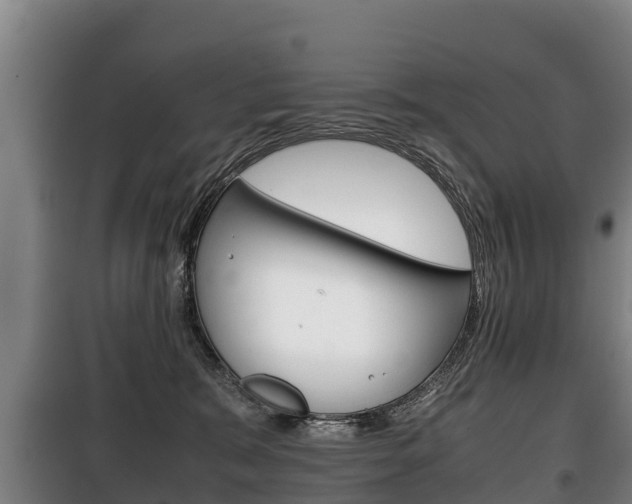 X0000100420327200806060954