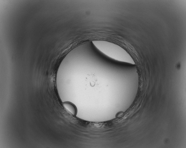 X0000100420329200806060954