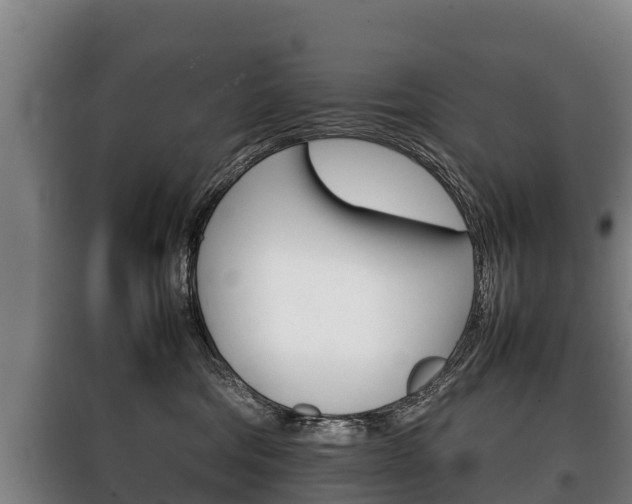 X0000100420330200806060954