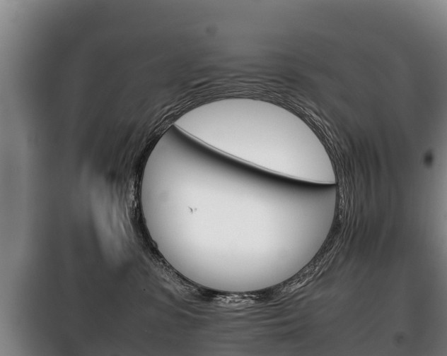 X0000100420331200806060954