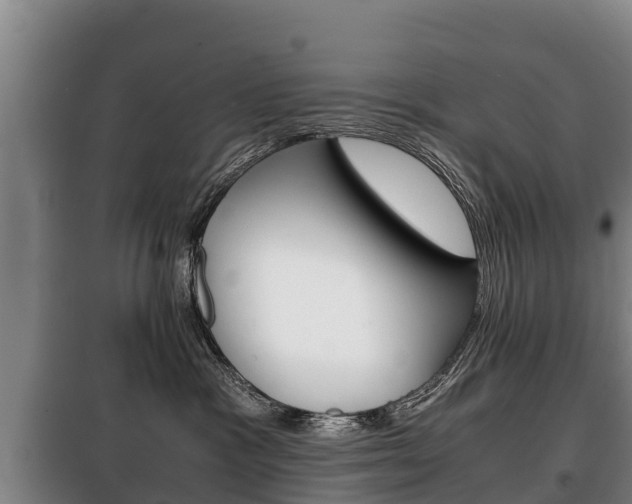 X0000100420333200806060954