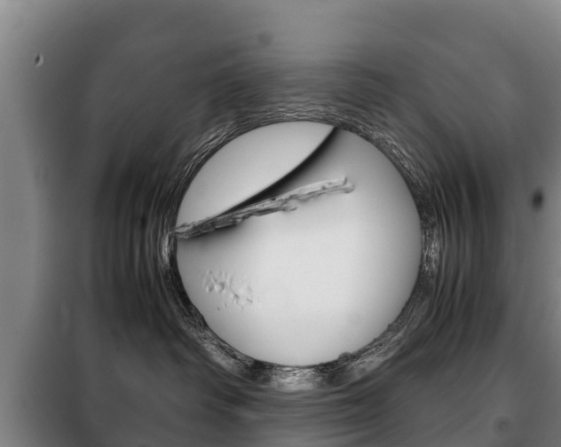 X0000100420334200806060954