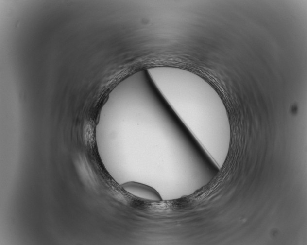 X0000100420335200806060954
