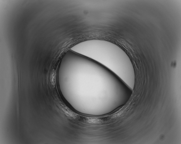 X0000100420336200806060954
