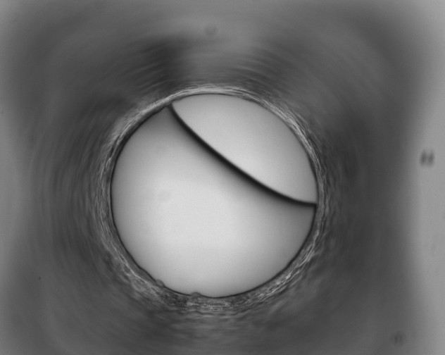 X0000100420337200806060953