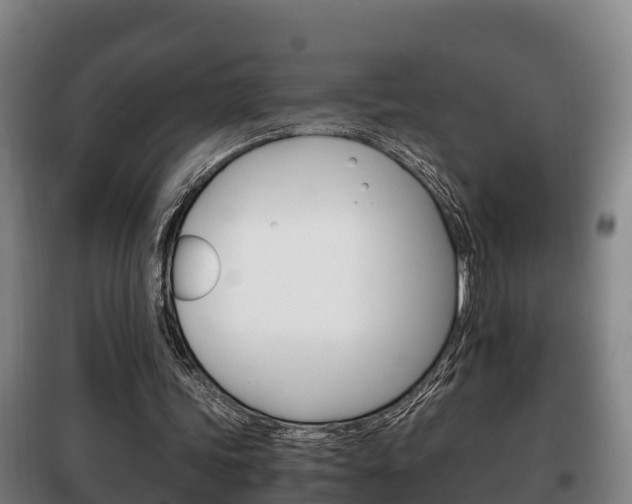 X0000100420339200806060953