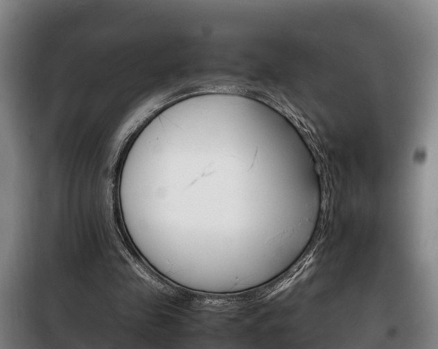 X0000100420341200806060953