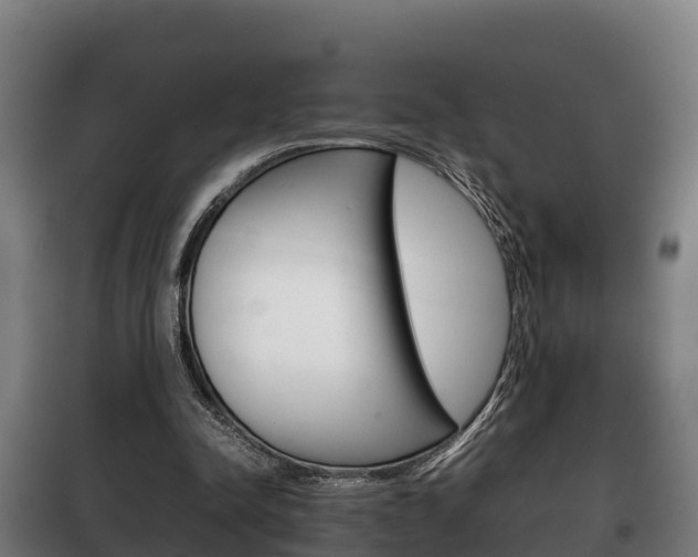 X0000100420342200806060953