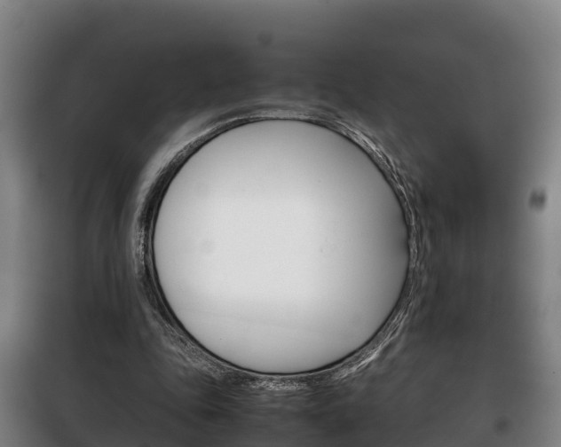 X0000100420343200806060953