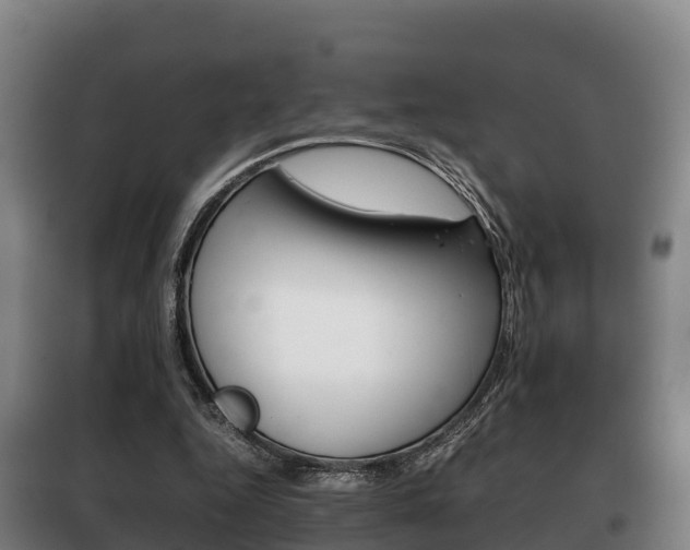X0000100420344200806060953