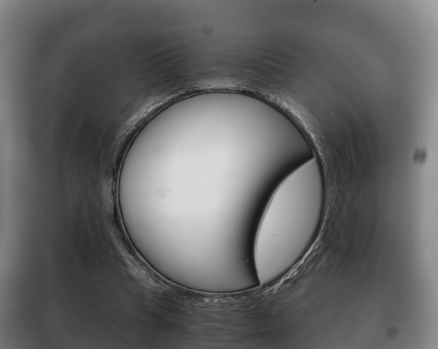 X0000100420345200806060953