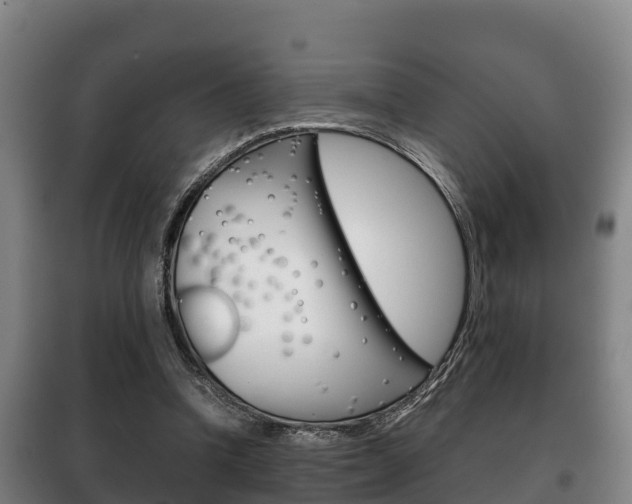 X0000100420346200806060953