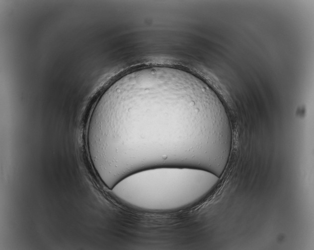 X0000100420347200806060953