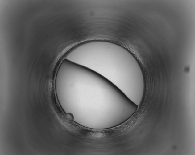 X0000100420348200806060953