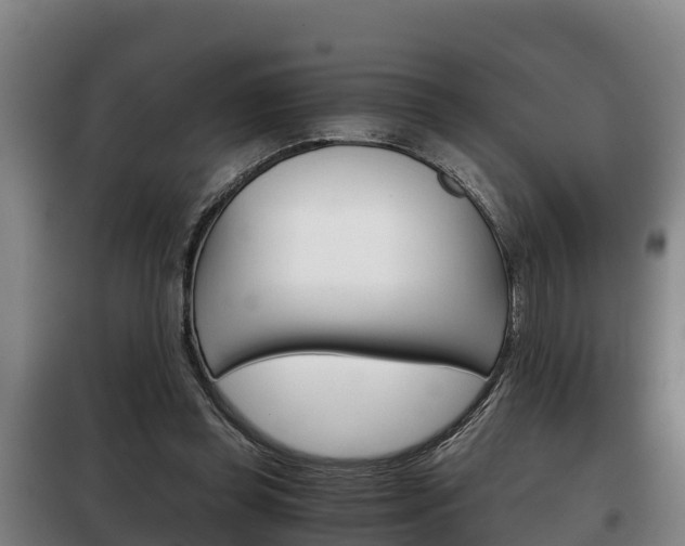 X0000100420349200806060953