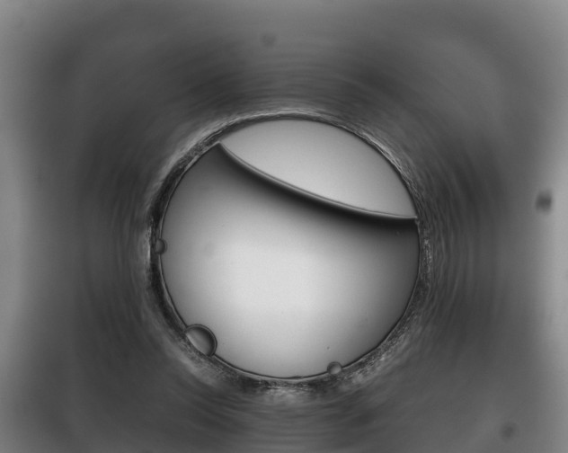 X0000100420350200806060953