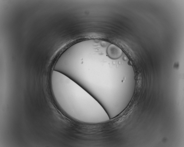 X0000100420351200806060953