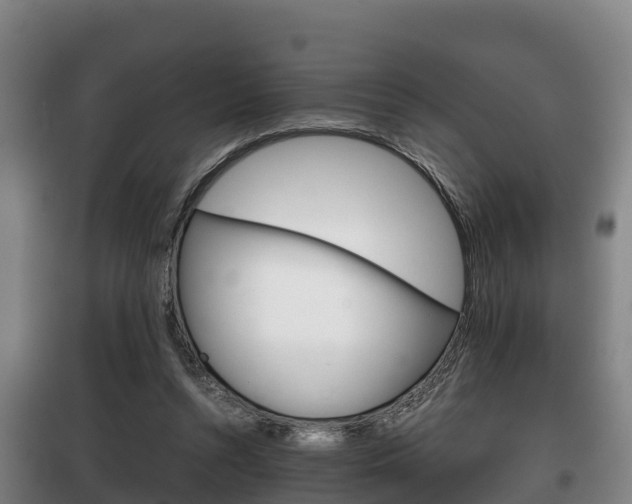 X0000100420352200806060953
