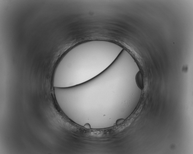 X0000100420353200806060953