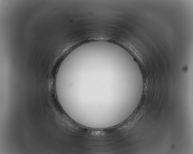 X0000100420355200806060953
