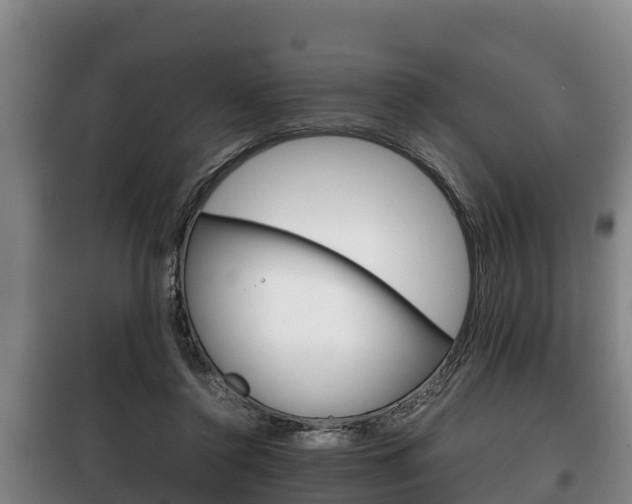 X0000100420356200806060953