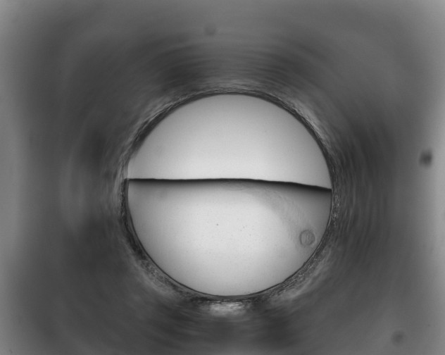 X0000100420357200806060953
