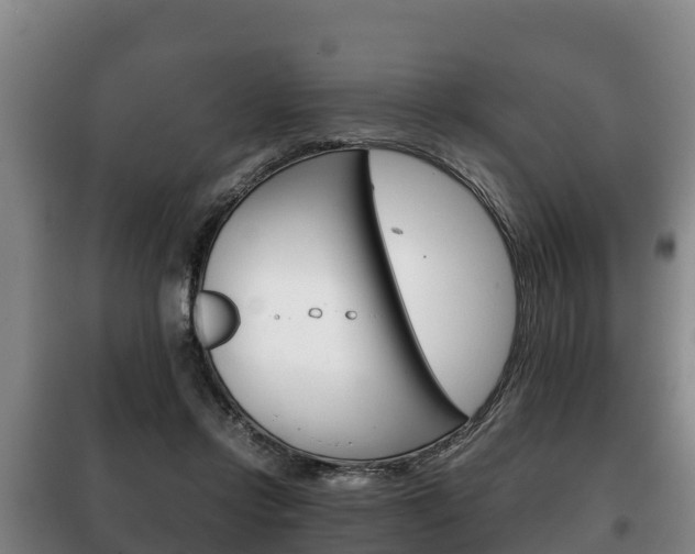 X0000100420358200806060953
