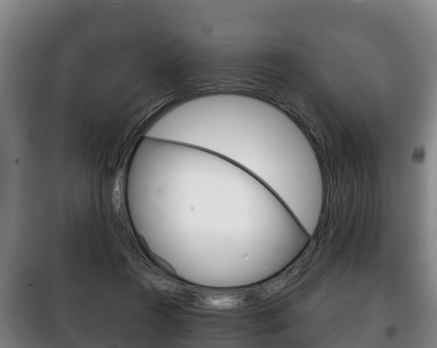 X0000100420360200806060953