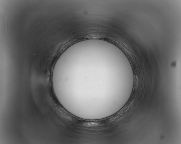 X0000100420361200806060953
