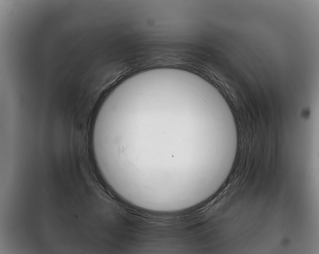 X0000100420362200806060953